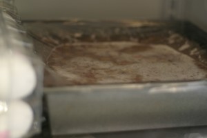 Drunken Strawberry Rhubarb Jelly Squares with Dark Chocolate