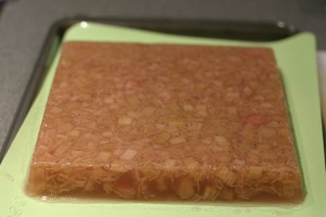 Drunken Strawberry Rhubarb Jelly Squares with Dark Chocolate