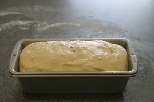 img_28171 Cheddar Jalapeno Bread