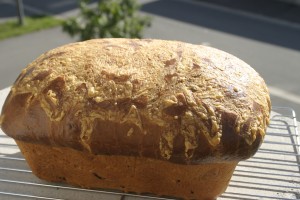 img_2839 Cheddar Jalapeno Bread