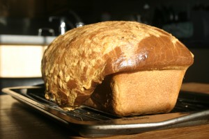 img_2850 Cheddar Jalapeno Bread