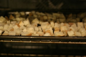 img_5079
