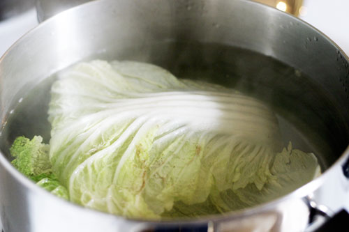 IMG_2370 Sweet and Sour Chinese Cabbage Rolls