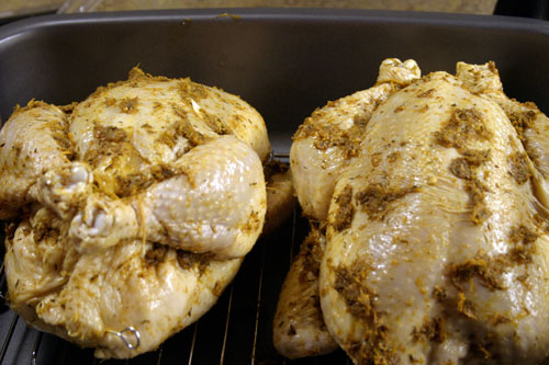lsrc5 Spiced Garlic and Lemon Roasted Chicken(s)