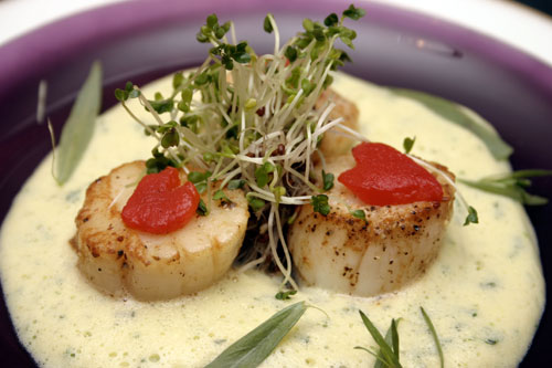 sscs11 Seared Scallops with Champagne Tarragon Sabayon