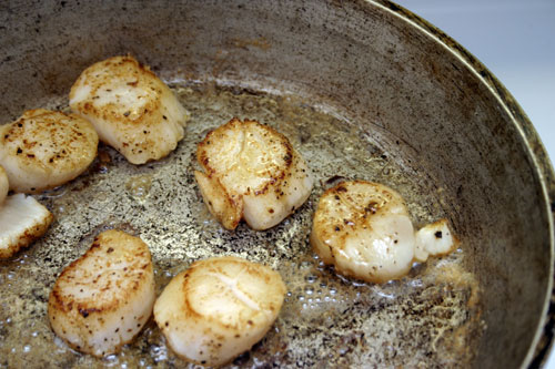 sscs6 Seared Scallops with Champagne Tarragon Sabayon