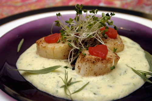 sscs9 Seared Scallops with Champagne Tarragon Sabayon