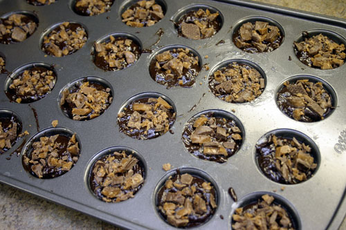 sbb7 Two Bite Skor Brownies