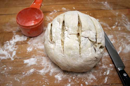 apbb7 Blue Cheese, Apricot and Pecan Boule
