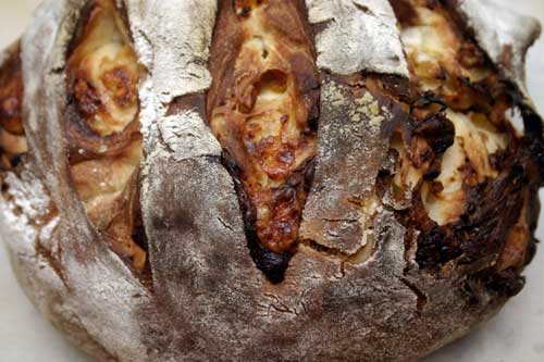 apbb9 Blue Cheese, Apricot and Pecan Boule
