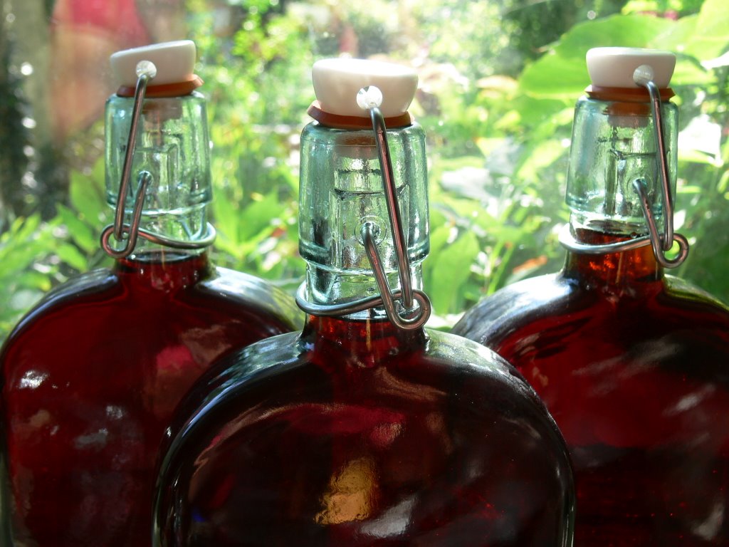 sloe_gin_1