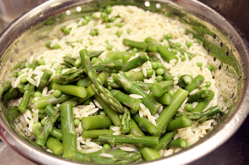 sgo4 Spring Green Herbed Orzo Salad