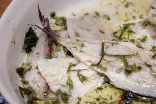 ms4-1 Marinated Smelt with Lemon and Dill