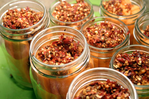 shpc7 Spicy Harissa Pickled Carrots