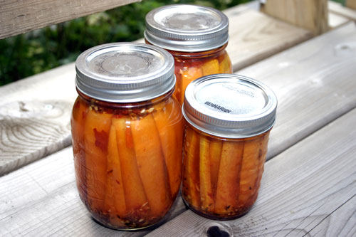 shpc9 Spicy Harissa Pickled Carrots