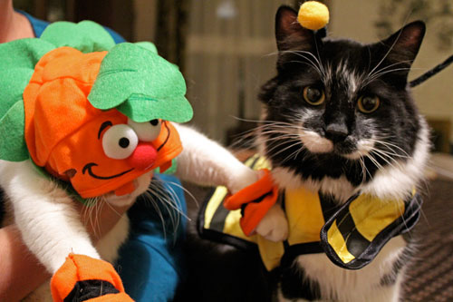 halloween2011-1