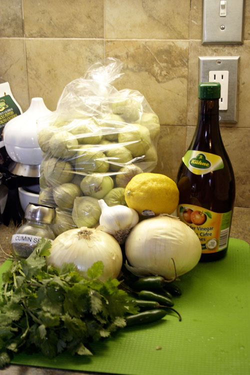 salsaverde1 Salsa Verde: Tomatillo Green Sauce