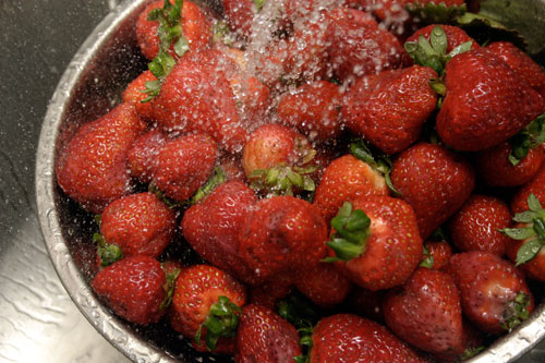 strawberrythymejam2 Sweeter than Strawberry Jam