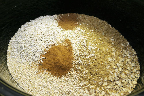 slow-cooker-fruit-porridge-2 Spiced Whole Grain and Fruit Porridge