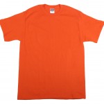 orange_t What to Drink This Week: Coors Light Iced T